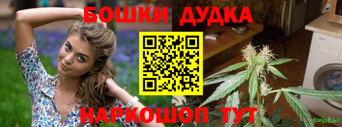 Бошки марихуана сатива Нурлат